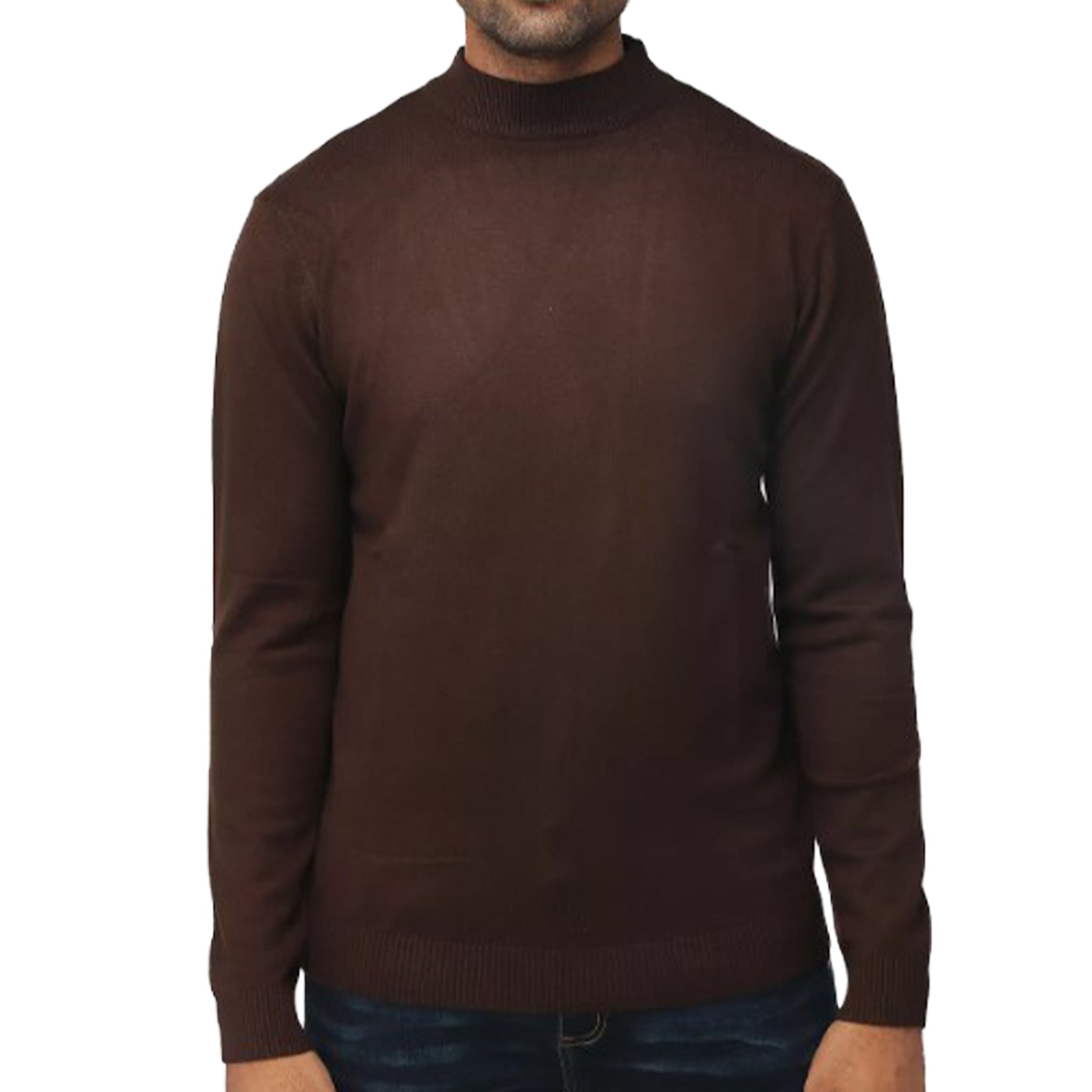 Men's Brown Turtle Neck Sweater