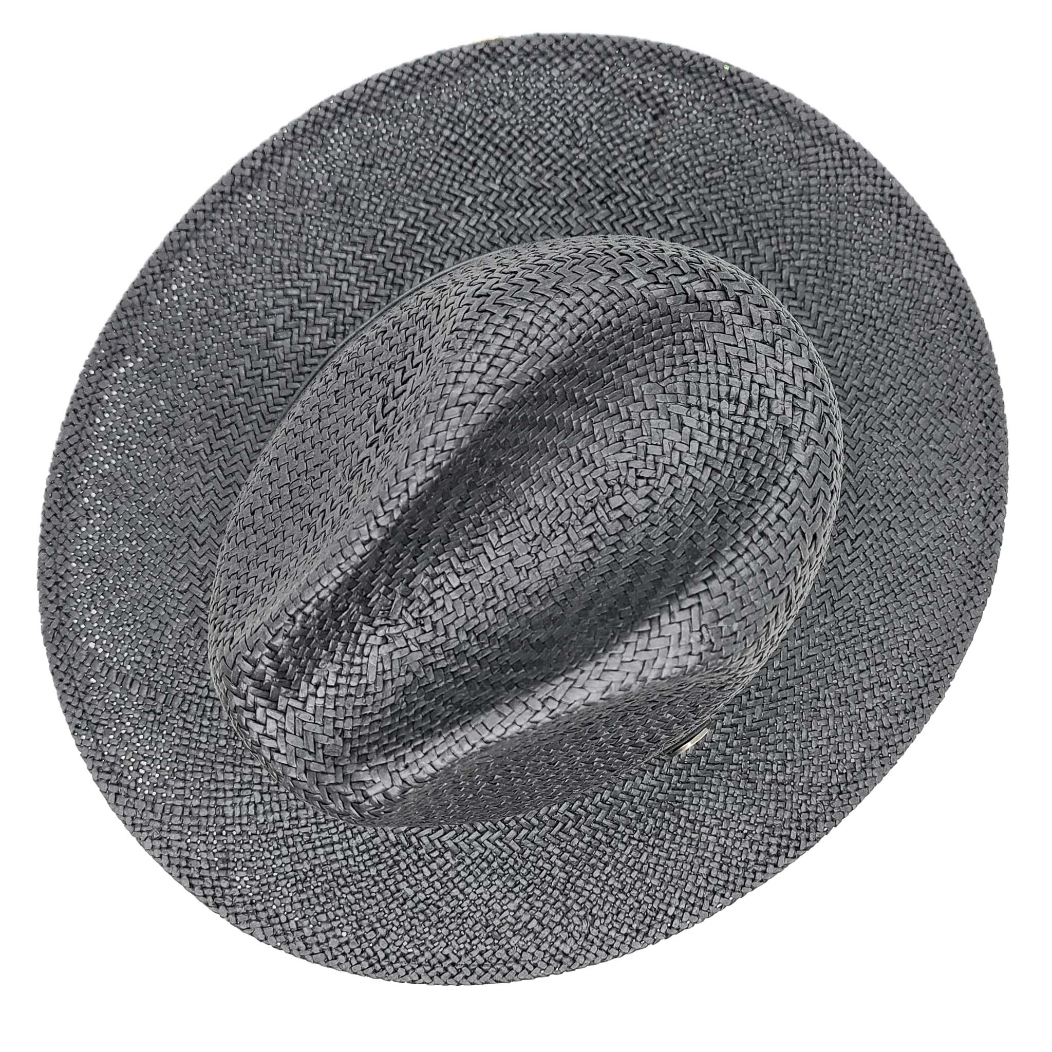 Black Fedora Style Straw Hat